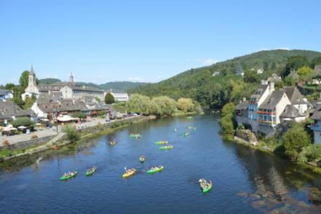Maison En Pierre Sur Les Quais De La Dordogne Argentat Exterior foto